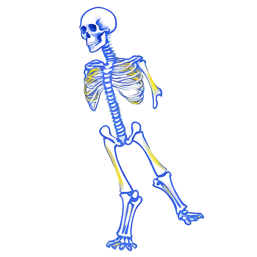 X-ray Bones Png Jyq8