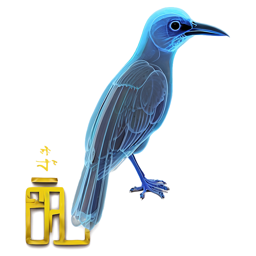 X Ray Of A Bird Png 06252024