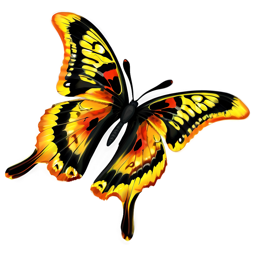 Yellow And Orange Butterfly Png 06292024