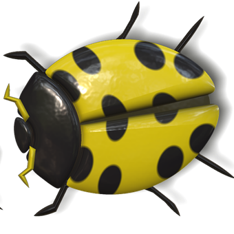 Yellow Black Ladybug Illustration