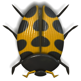 Yellow Black Ladybug Illustration