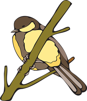 Yellow Breasted Bird Illustration