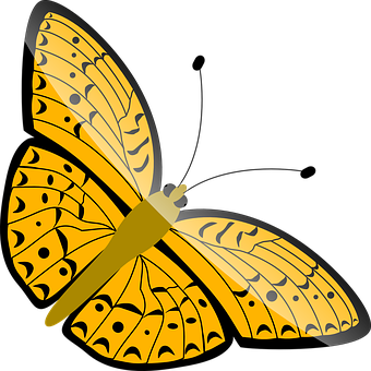 Yellow Butterfly Illustration