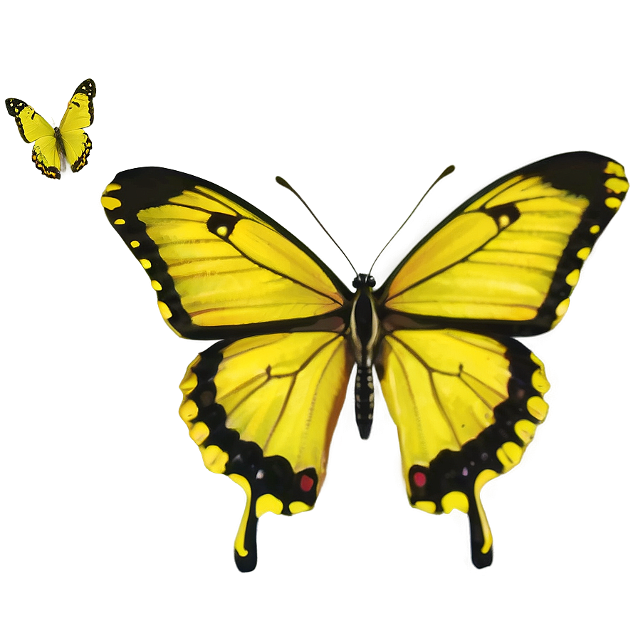 Yellow Butterfly In Nature Png 43