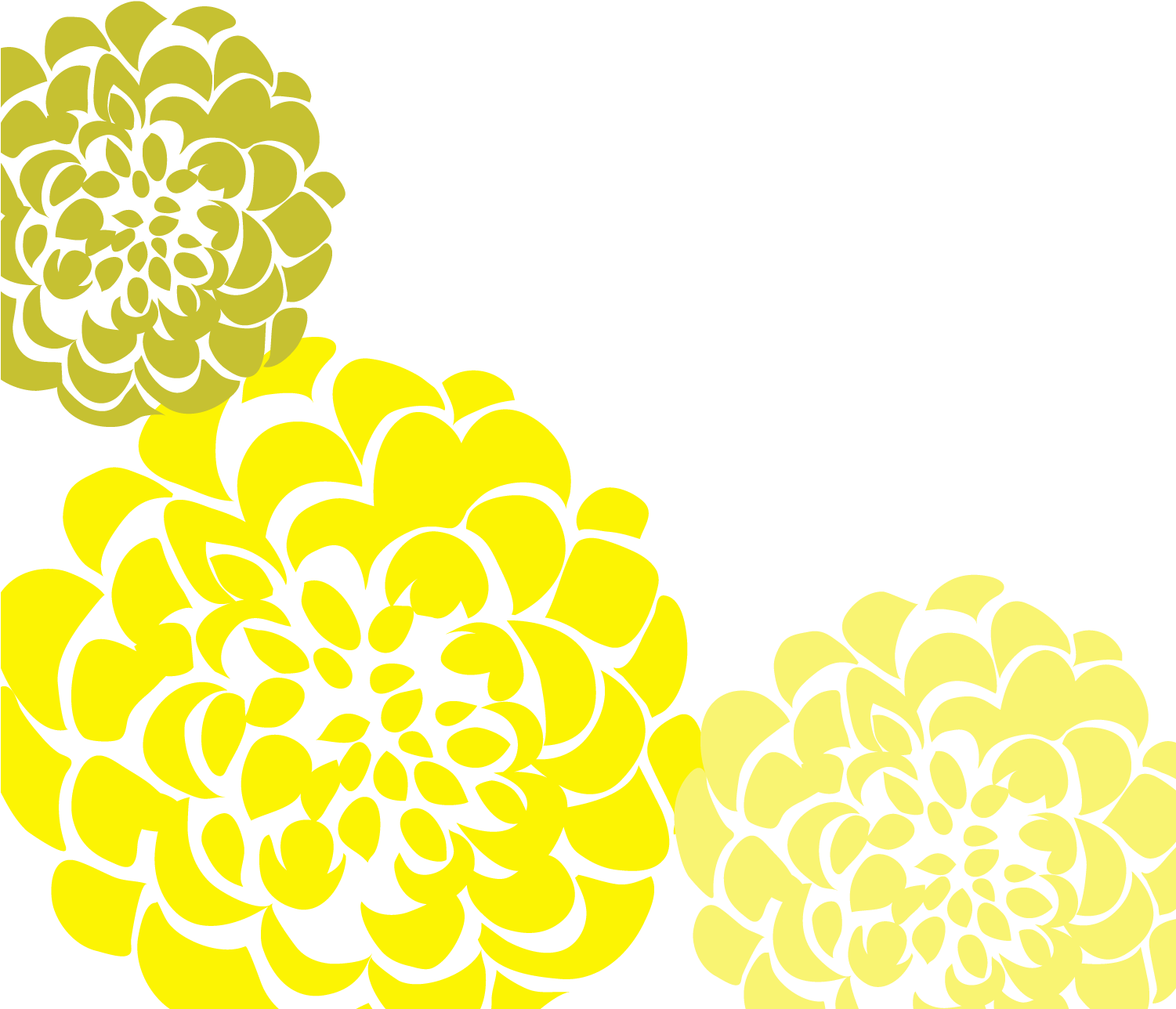 Yellow Chrysanthemum Graphic Design