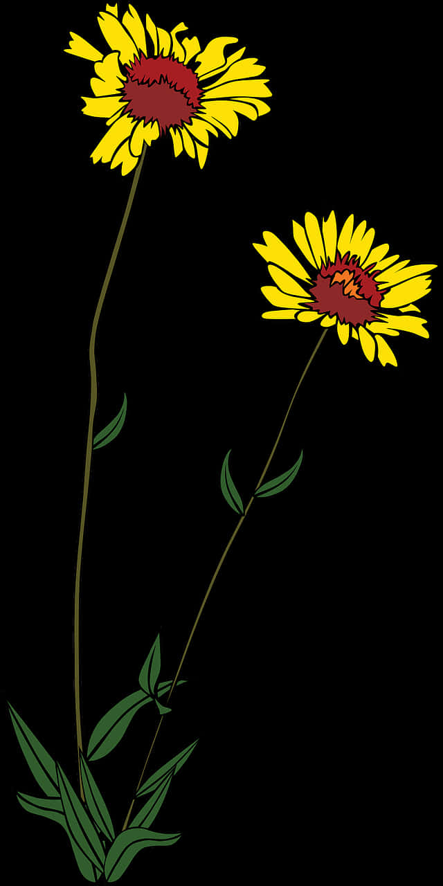 Yellow Daisies Vector Illustration