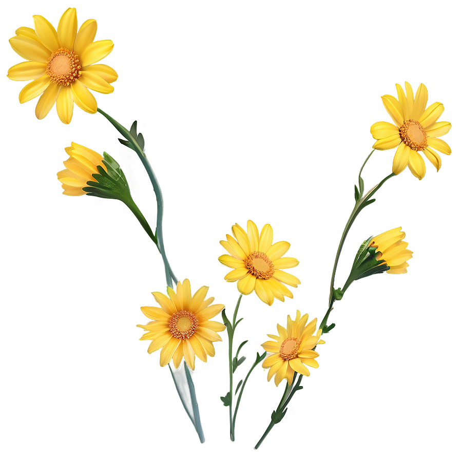 Yellow Daisy Flowers Png 58