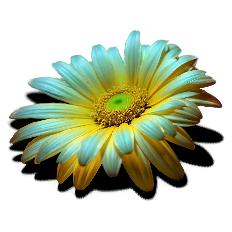 Yellow Daisy Glowing Effect Png 59