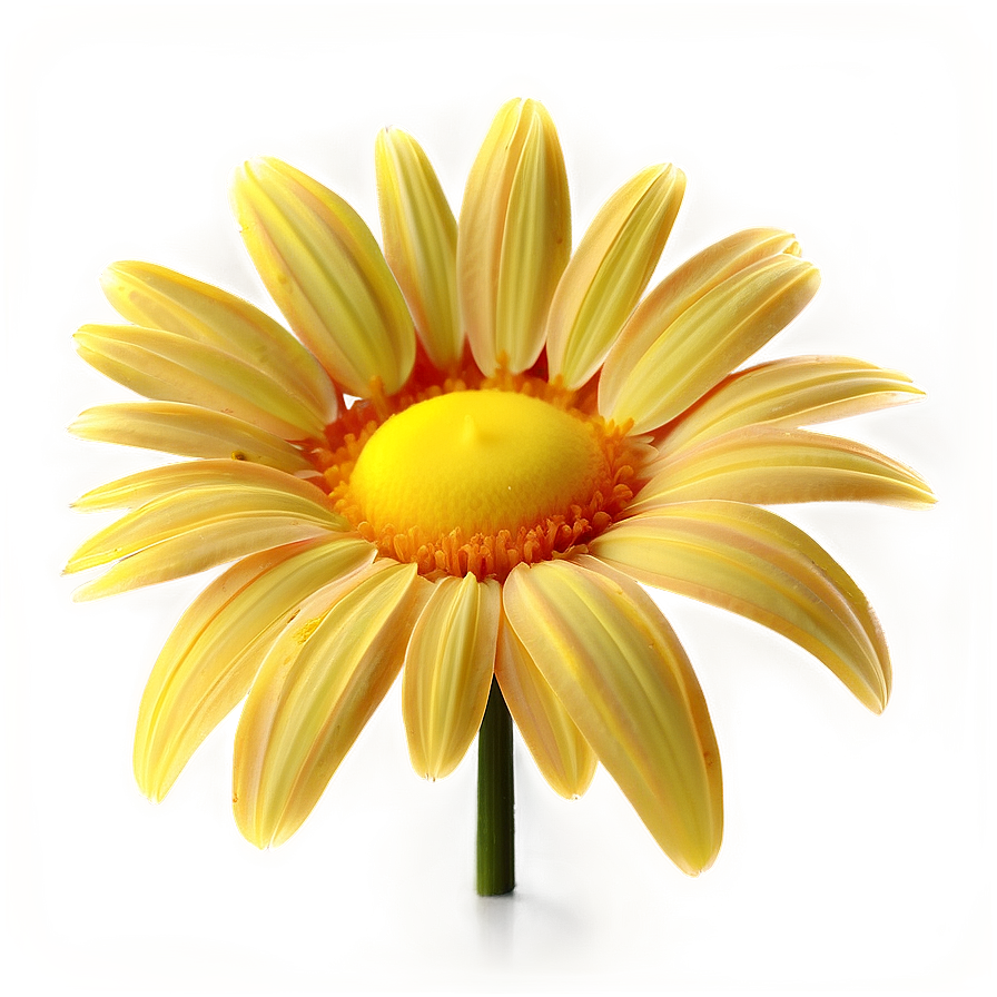 Yellow Daisy Glowing Effect Png Hse