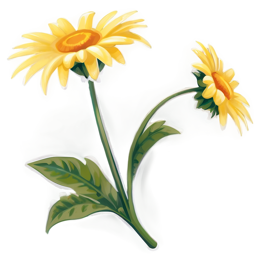 Yellow Daisy Hand Drawn Png Ort