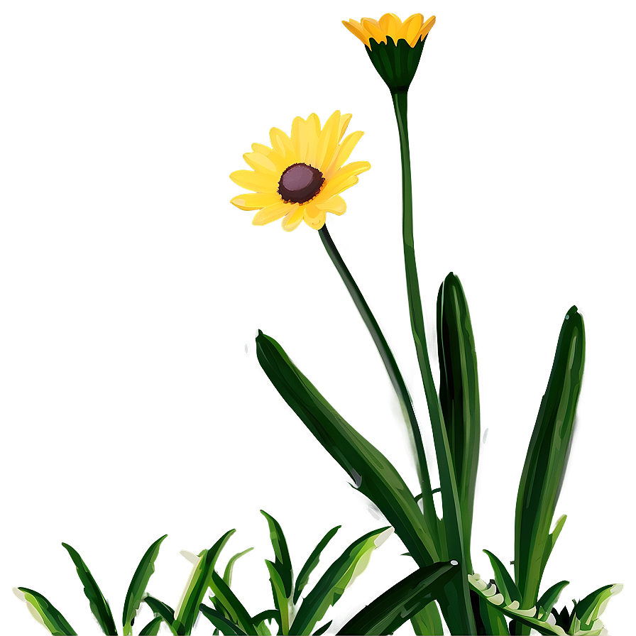 Yellow Daisy Png Kct12