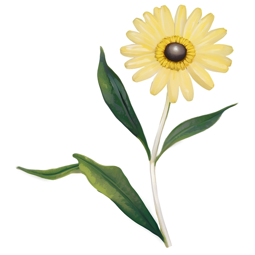 Yellow Daisy Retro Look Png 91