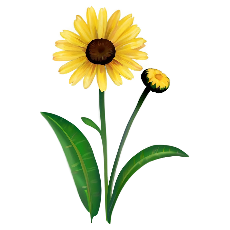 Yellow Daisy Silhouette Png Sqv42