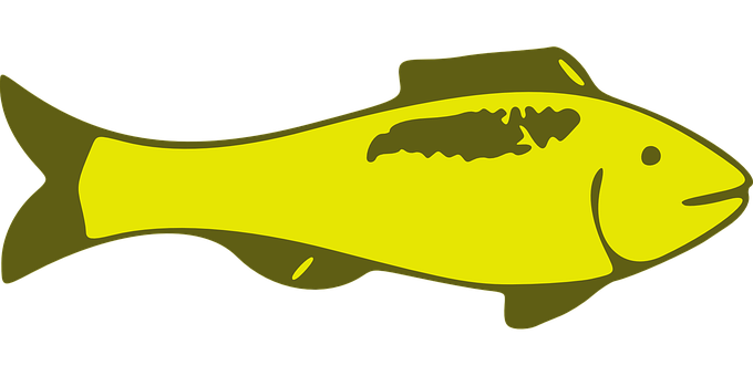 Yellow Fish Graphic