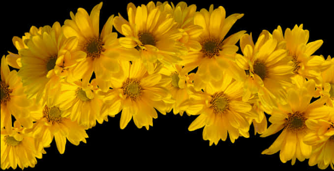 Yellow Floral Crownon Black Background