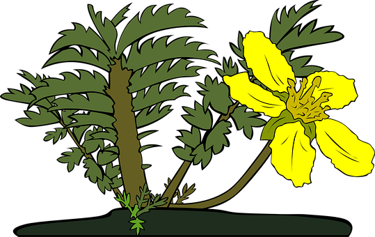 Yellow_ Flower_and_ Green_ Foliage_ Vector