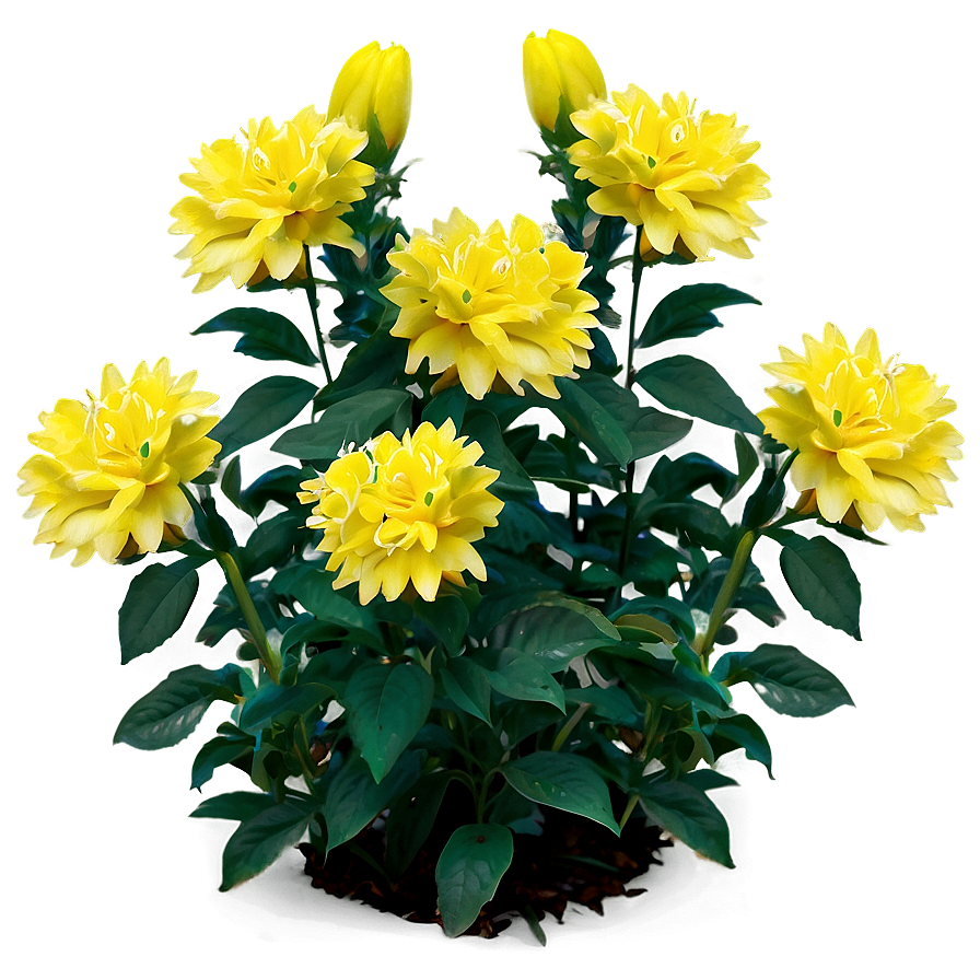 Yellow Flower Bush Png 32