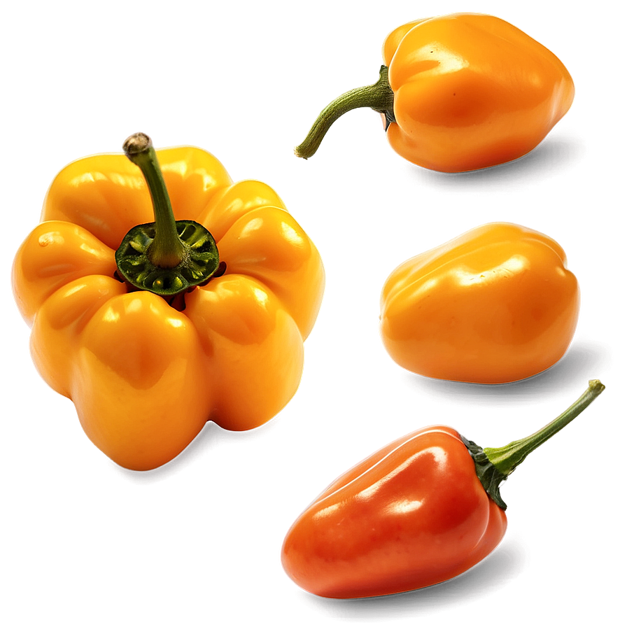 Yellow Habanero Chili Png 06282024