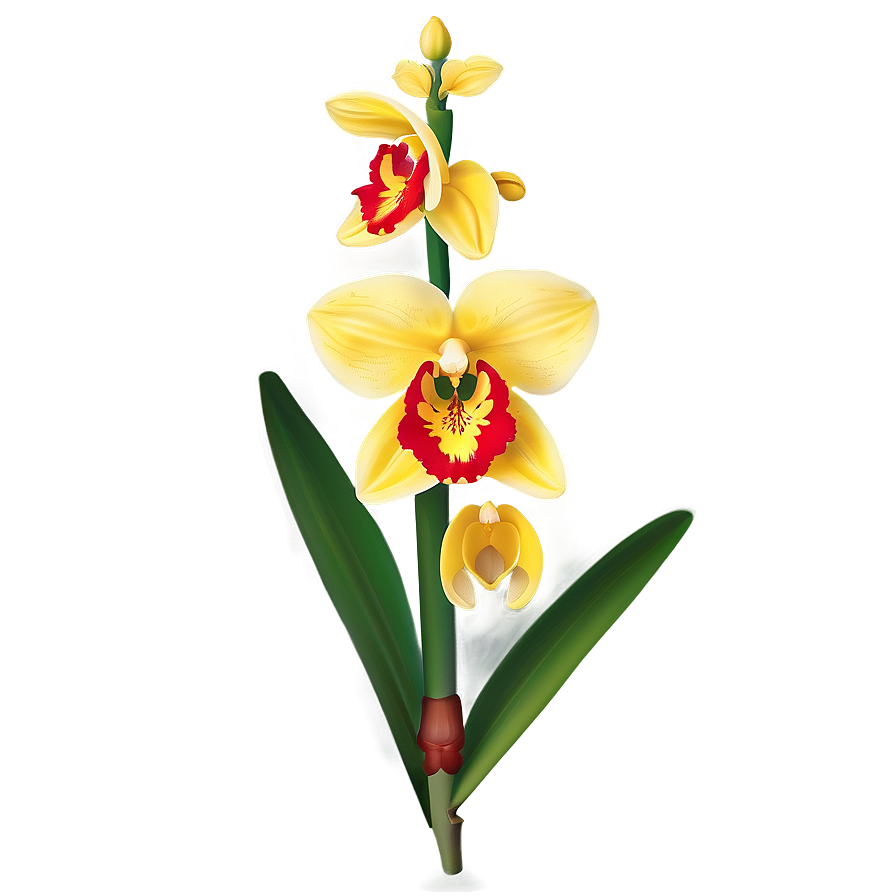 Yellow Orchid Png Ymk