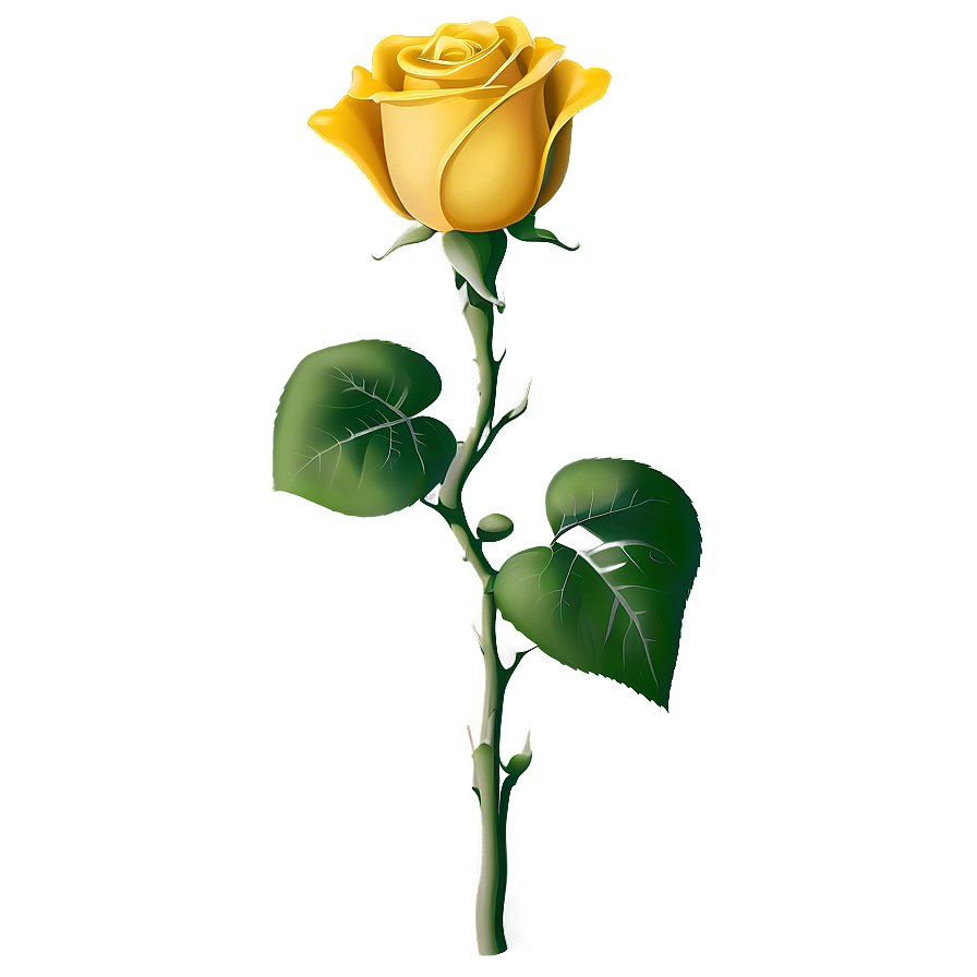 Yellow Rose Drawing Png 62