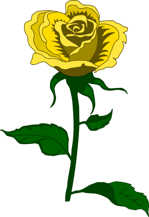 Yellow Rose Illustration.png