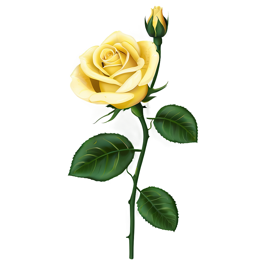 Yellow Rose Wallpaper Png Hlm