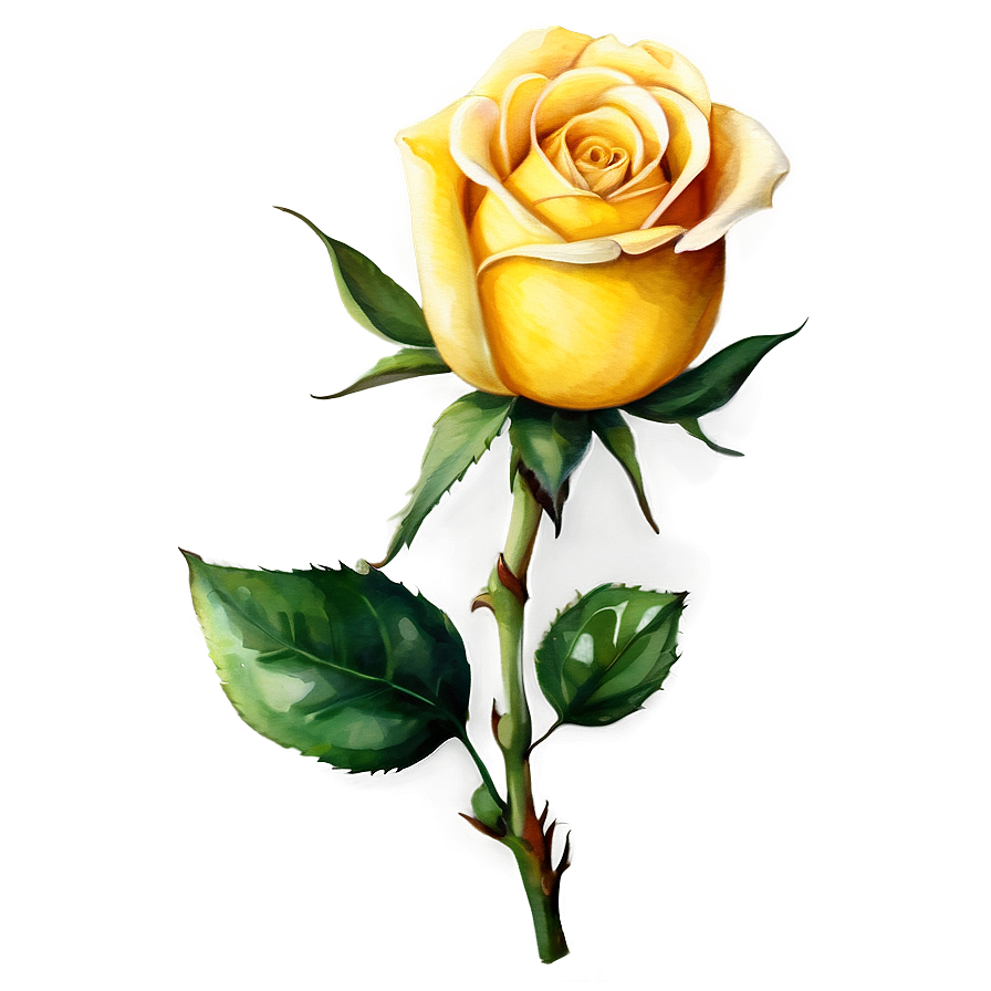 Yellow Rose Watercolor Png 36