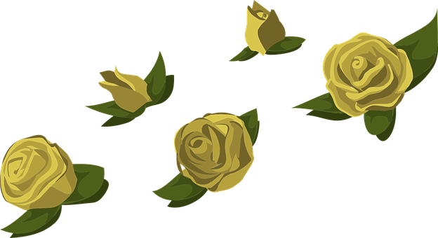 Yellow Roses Black Background