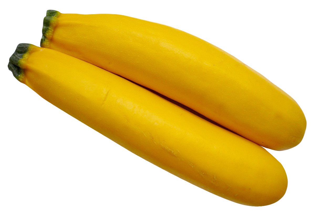 Yellow Squash Pair