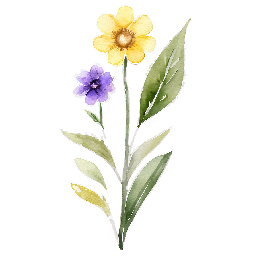 Yellow Watercolor Flowers Png Frx