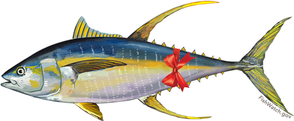 Yellowfin Tuna Illustrationwith Bow