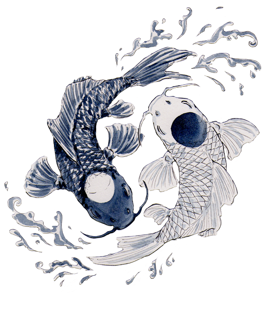 Yin Yang Koi Fish Illustration