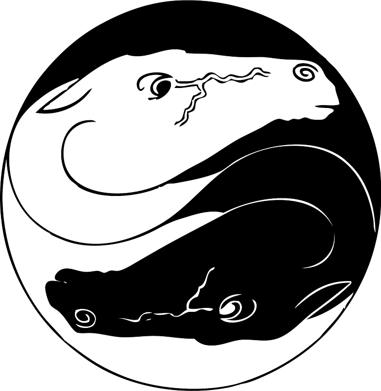 Yin Yang Lizards_ Vector Art