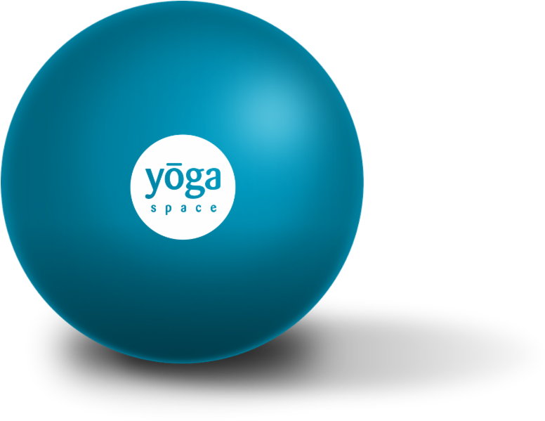 Yoga Ball Exercise Equipment Blue