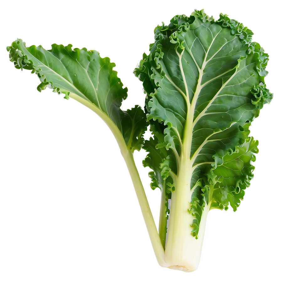 Young Kale Png 06252024