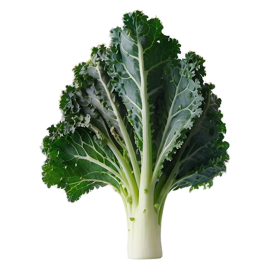 Young Kale Png Bhq