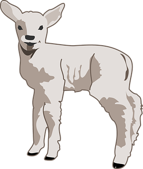 Young Lamb Illustration