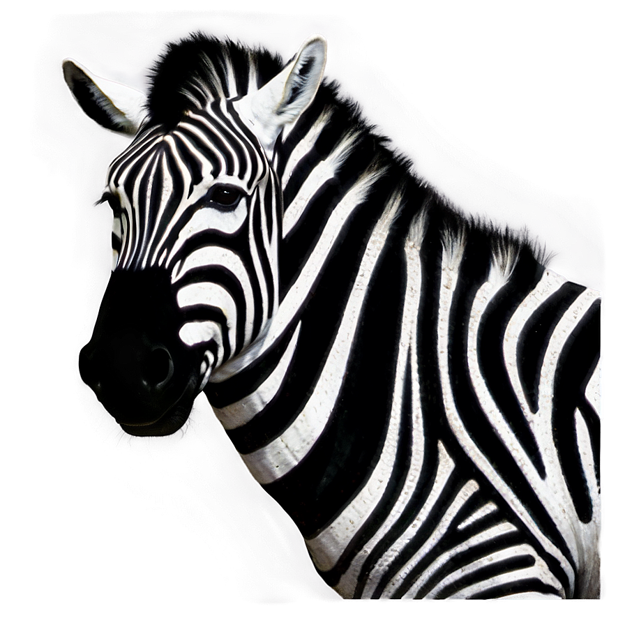 Zebra Emoji Png 53