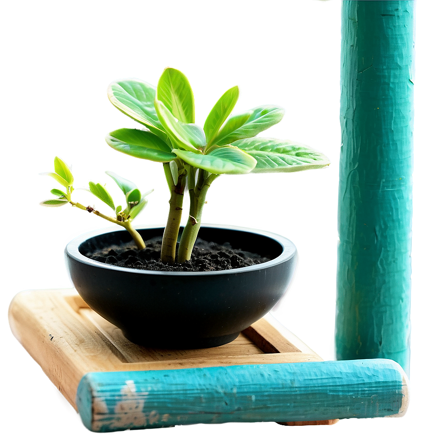 Zen Garden Houseplant Png 3