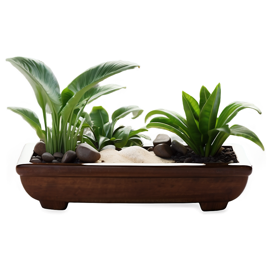 Zen Garden Houseplant Png 74