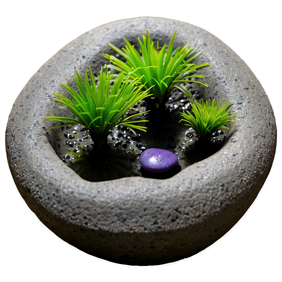 Zen Garden Plants Png Qde25