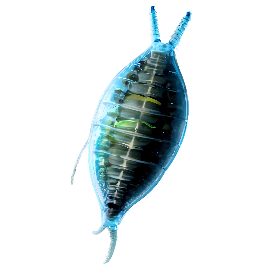 Zooplankton Eating Plastic Png Aai