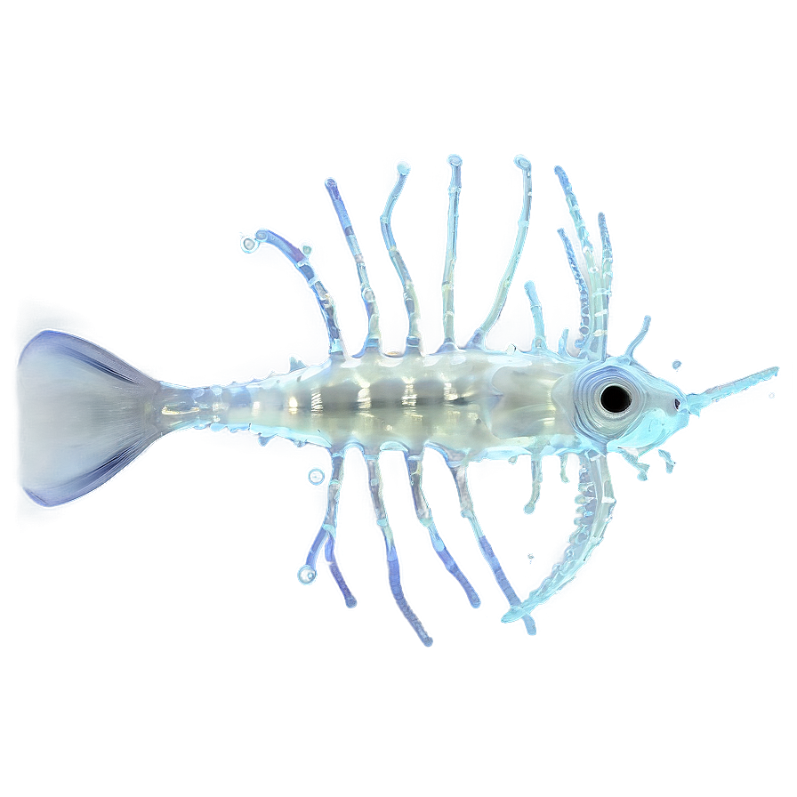 Zooplankton For Aquariums Png 39