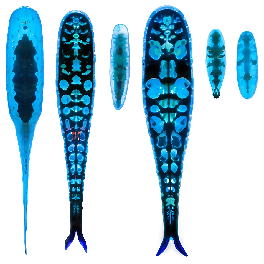 Zooplankton In Bioluminescence Png 84