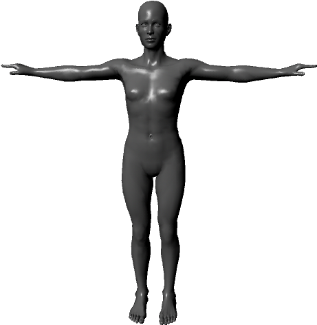 3 D Human Figure Model PNG Image