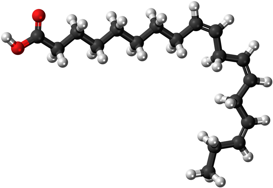 3 D Molecular Structureof Fatty Acid PNG Image