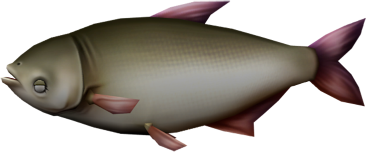 3 D Rendered Carp PNG Image