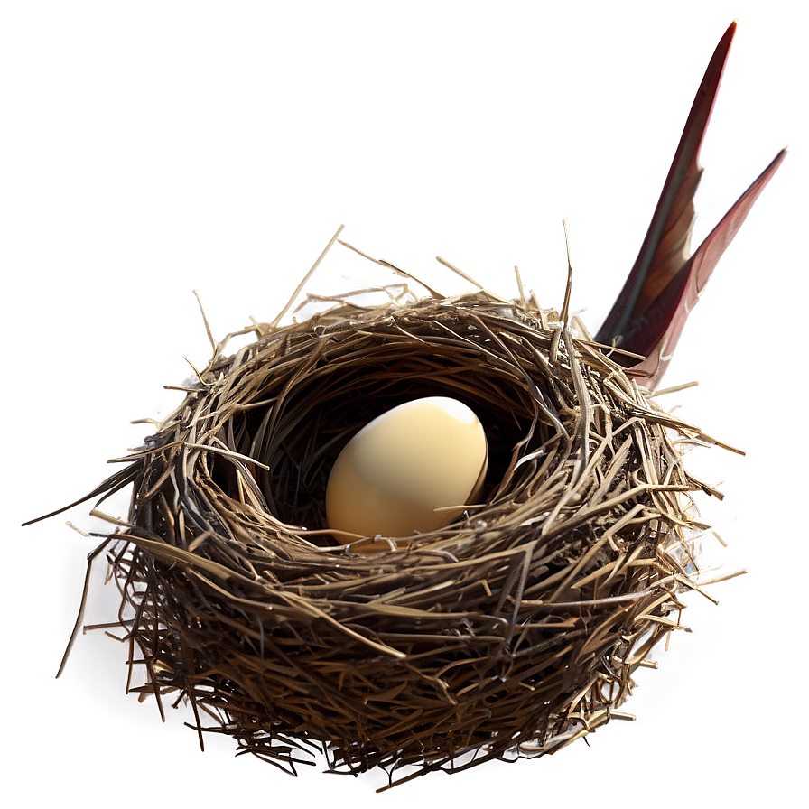 3d Bird Nest Png 10 PNG Image