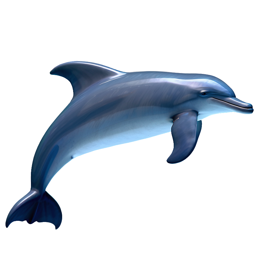 3d Dolphin Png 05062024 PNG Image