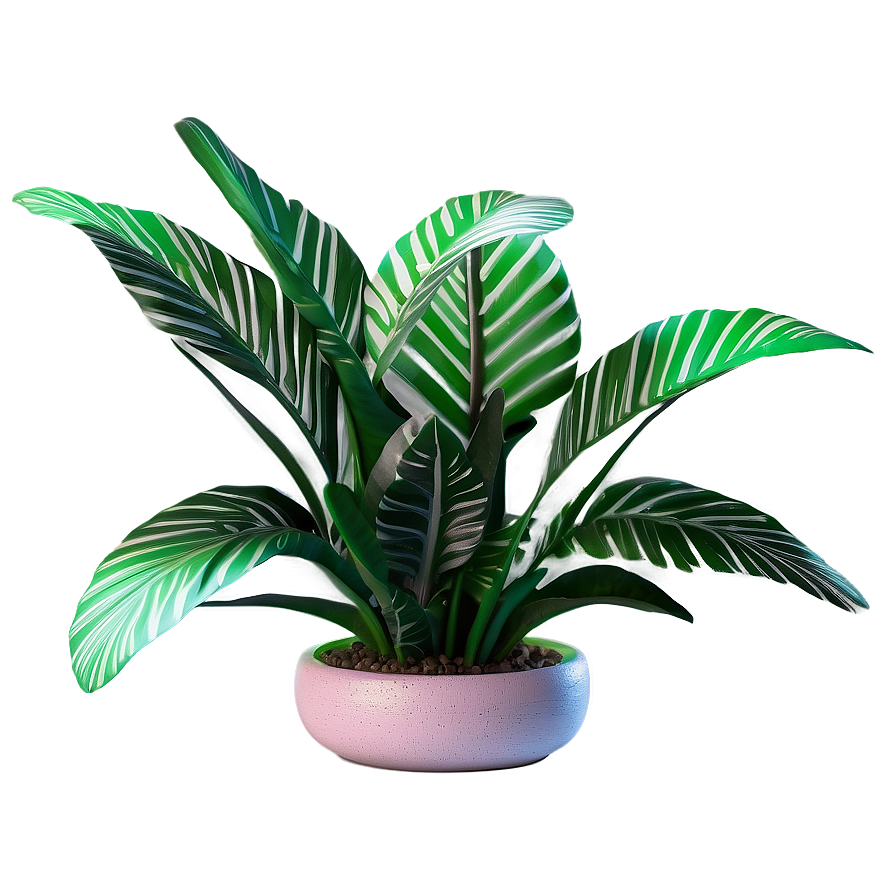 3d Plant Models Png Dwi58 PNG Image